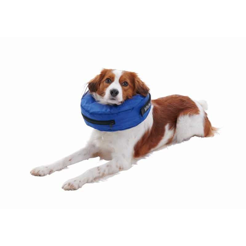 Buster pēcoperāciju piepūšama apkakle. - Image 2